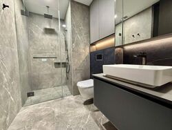Irwell Hill Residences (D9), Apartment #636955501